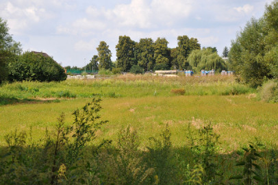 Działka Sprzedaż Bąkowice