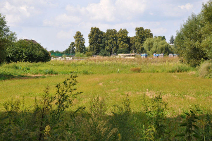 Działka Sprzedaż Bąkowice 14