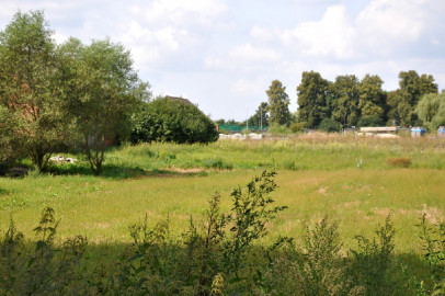 Działka Sprzedaż Bąkowice