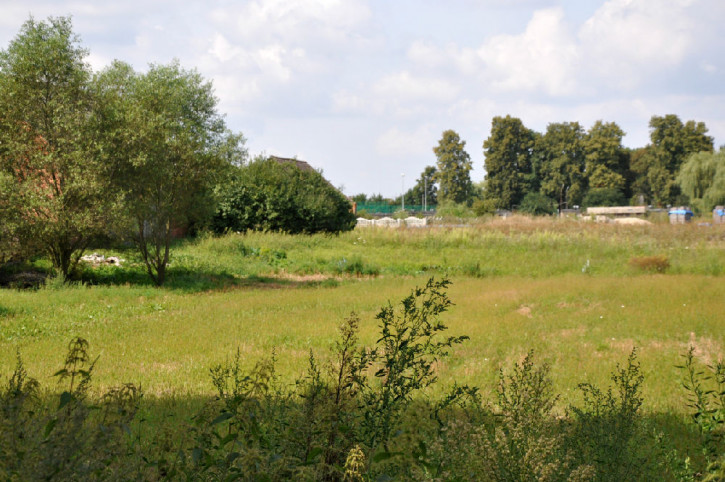Działka Sprzedaż Bąkowice 16