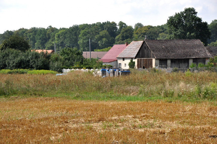 Działka Sprzedaż Bąkowice 17