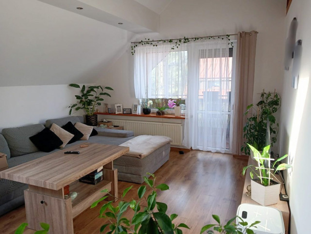 Dom Sprzedaż Opole Winów Róż 15