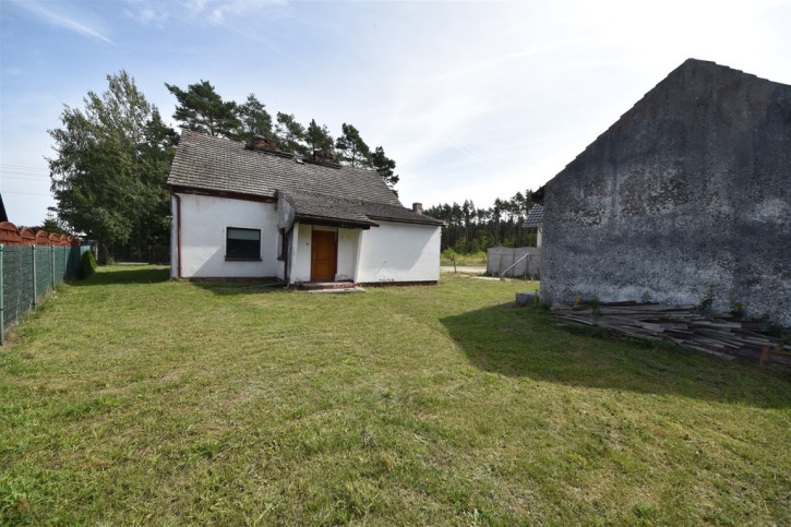 Dom Sprzedaż Szczedrzyk Daniecka 4
